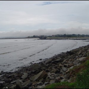 Site-1